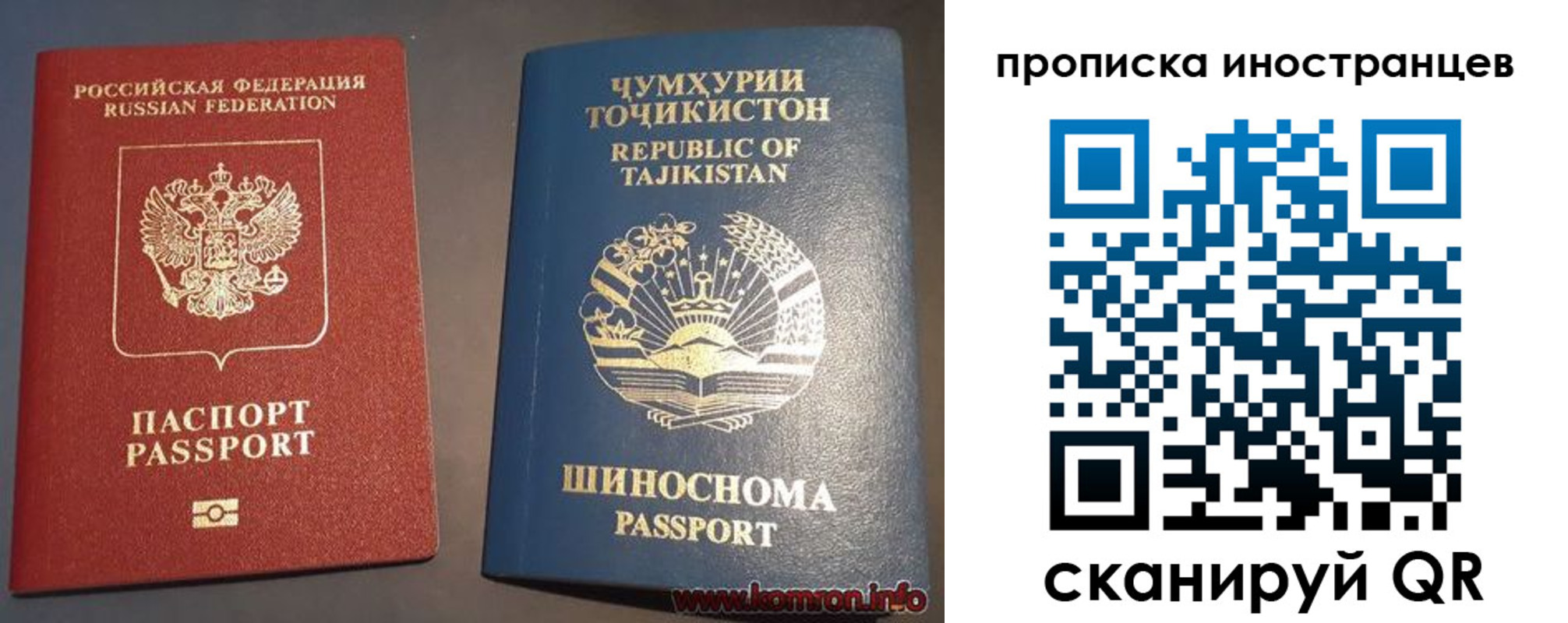 прописка поиск в Волгоградской области